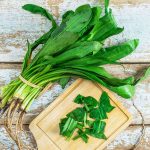 How to propagate store-bought cilantro?