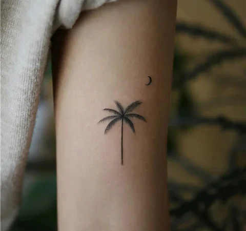 Does a palm tree tattoo mean anything?